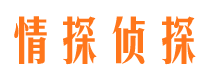 带岭市婚姻调查